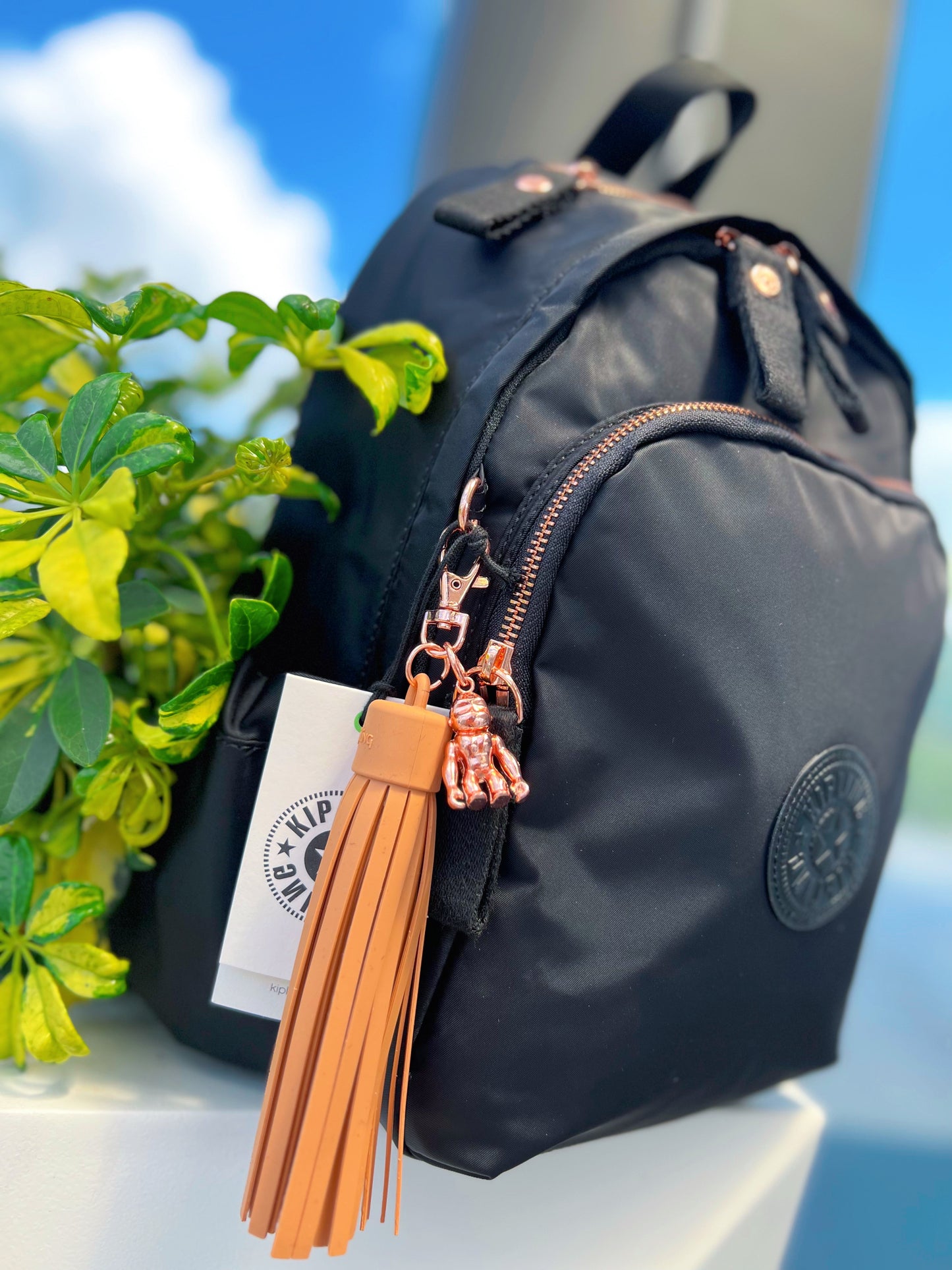 Morral Talla M Negro Lujo