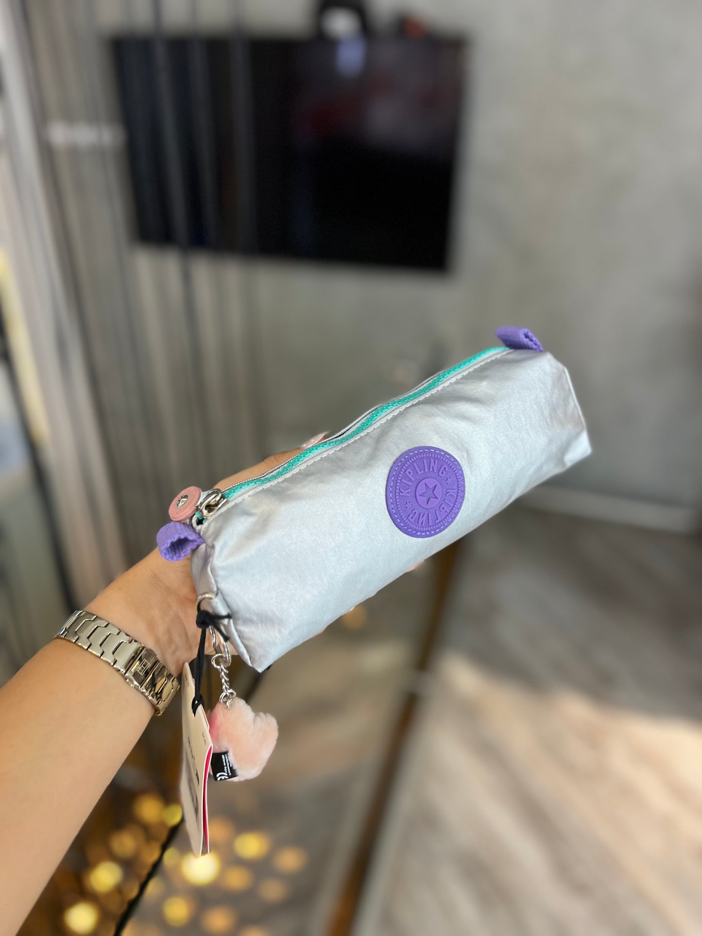 Cartuchera Clásica Plateada