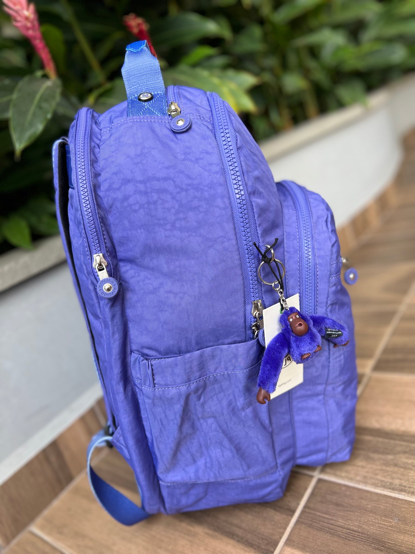 Morral Talla XL Morado