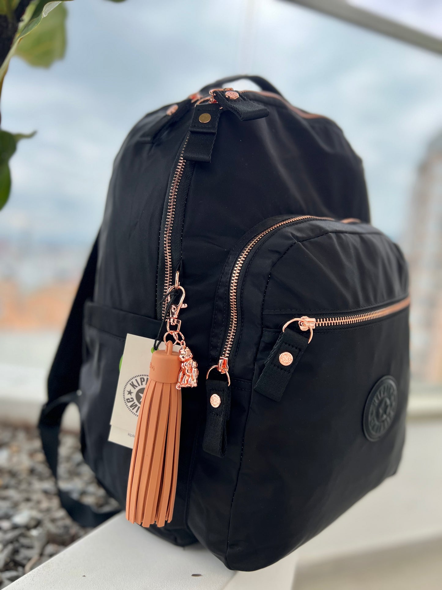 Morral Talla L Negro Lujo