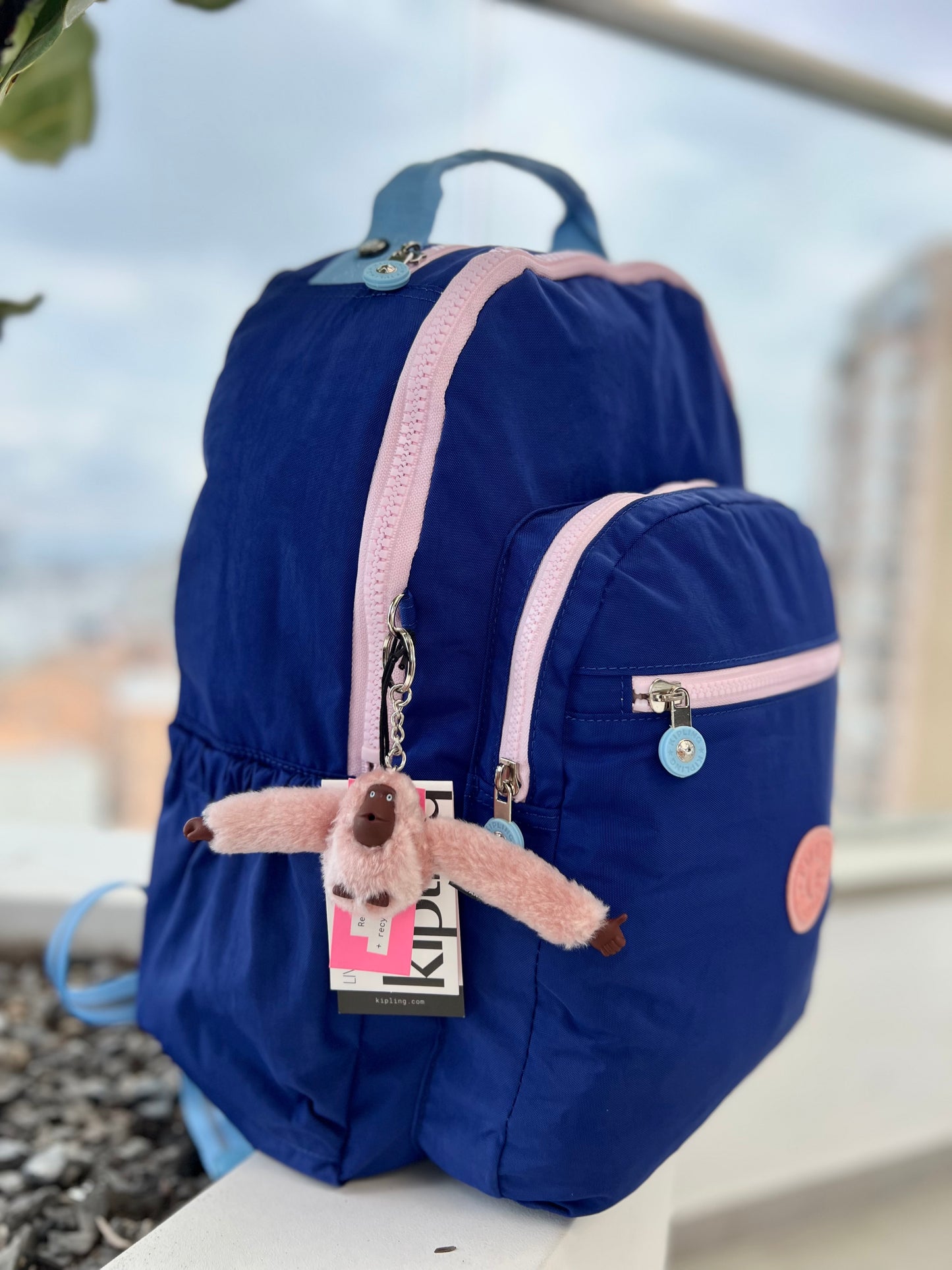 Morral Talla L Azul Eléctrico