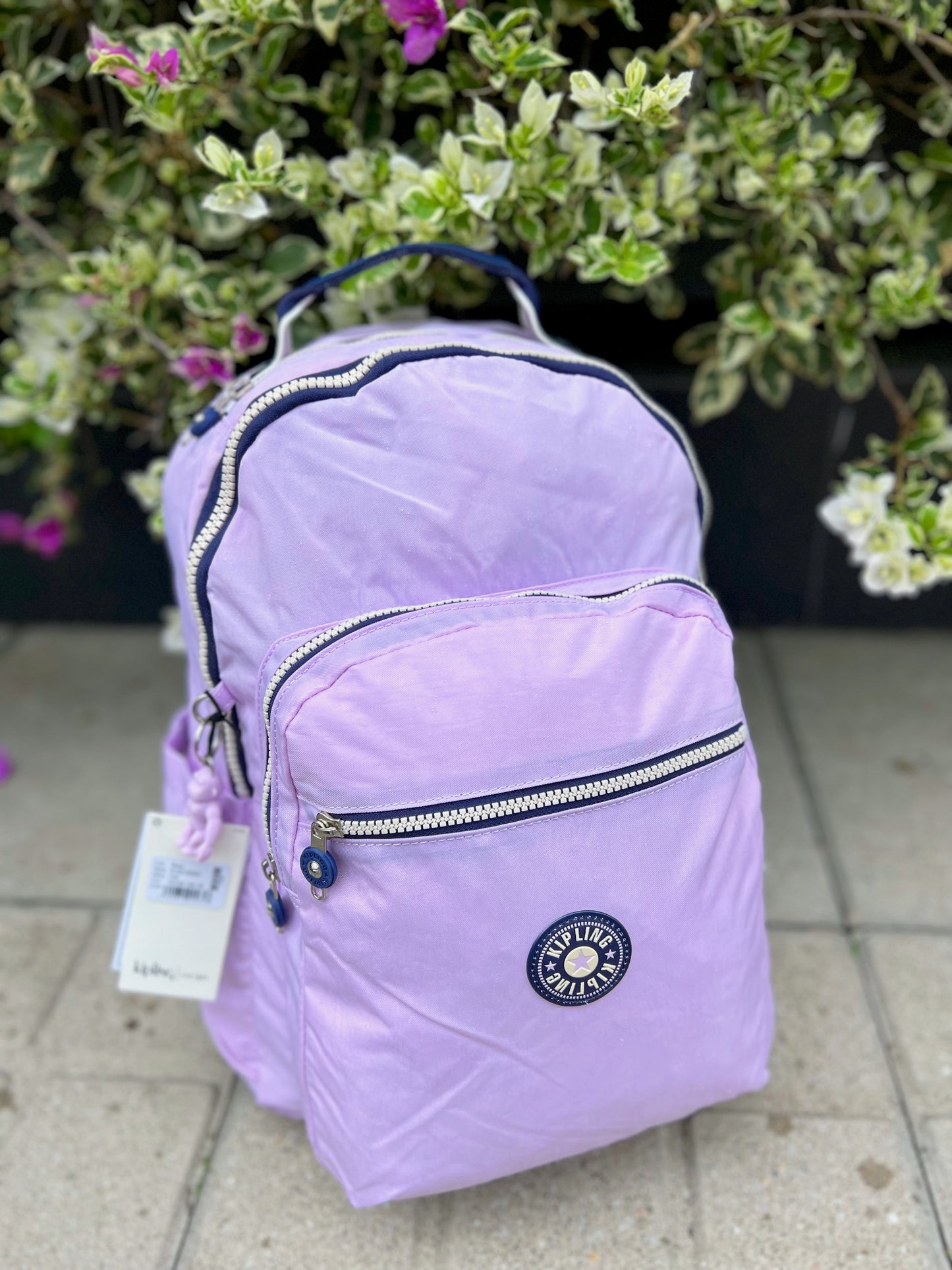Morral Talla L Lila