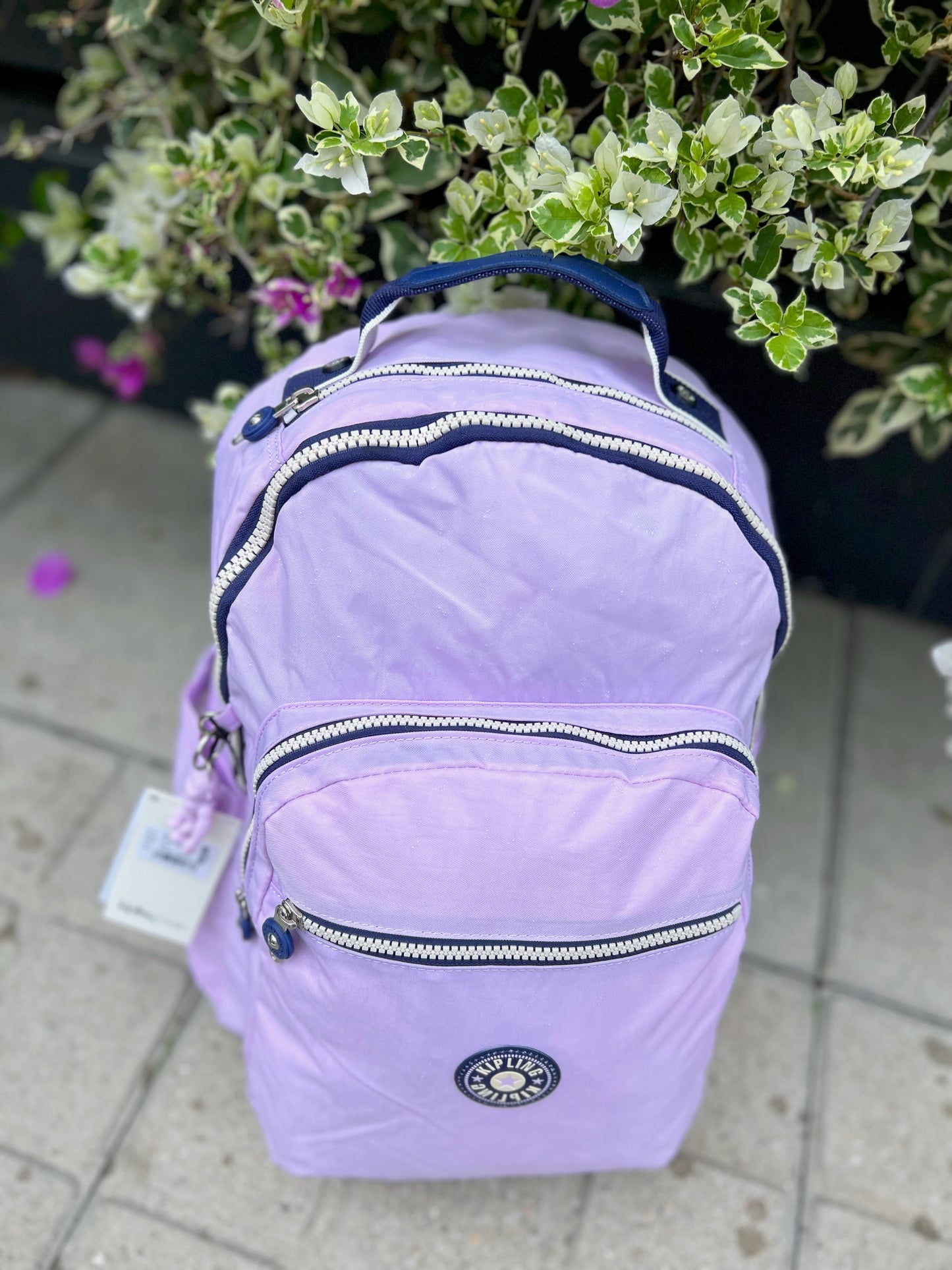Morral Talla L Lila