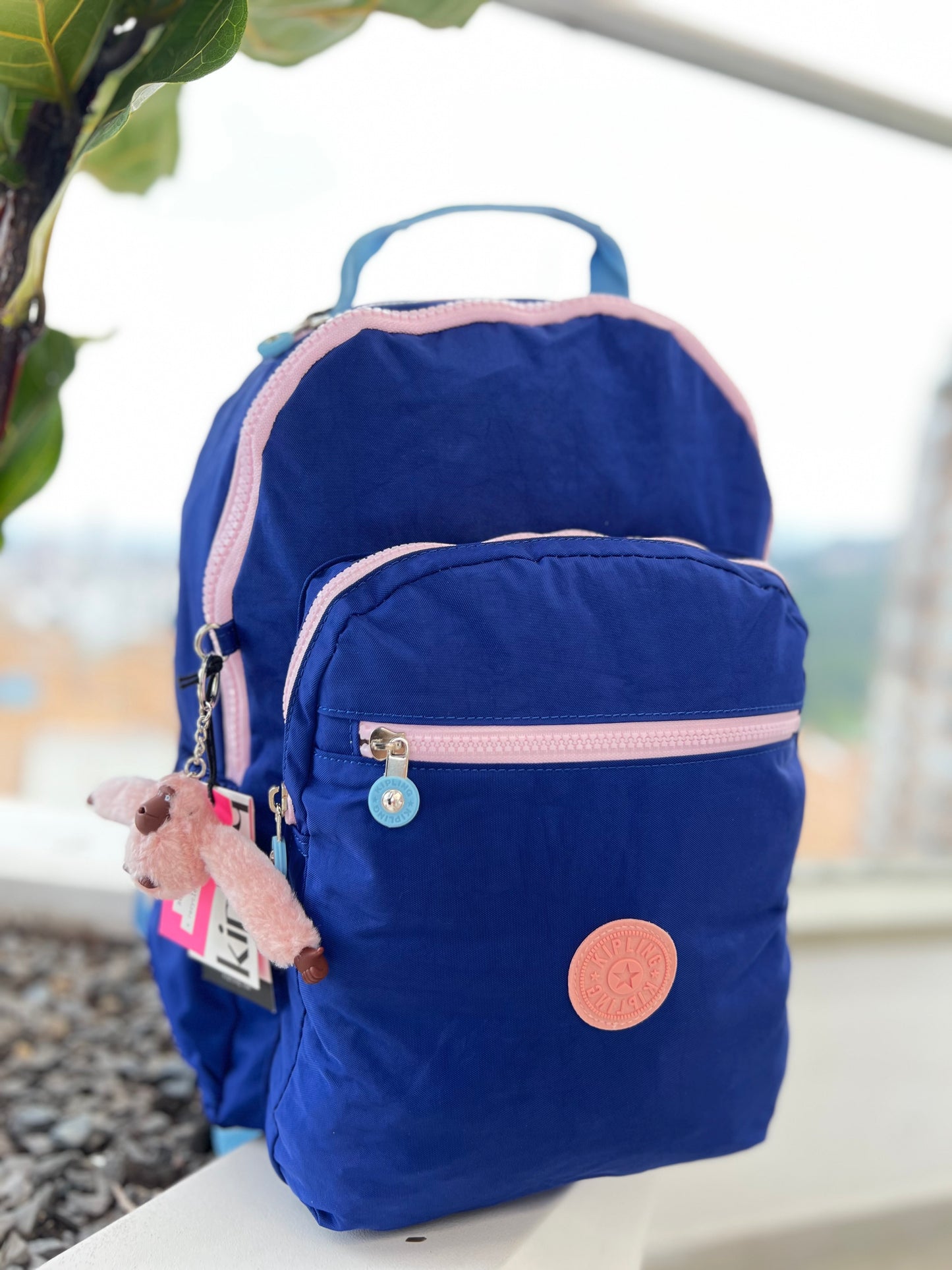 Morral Talla L Azul Eléctrico