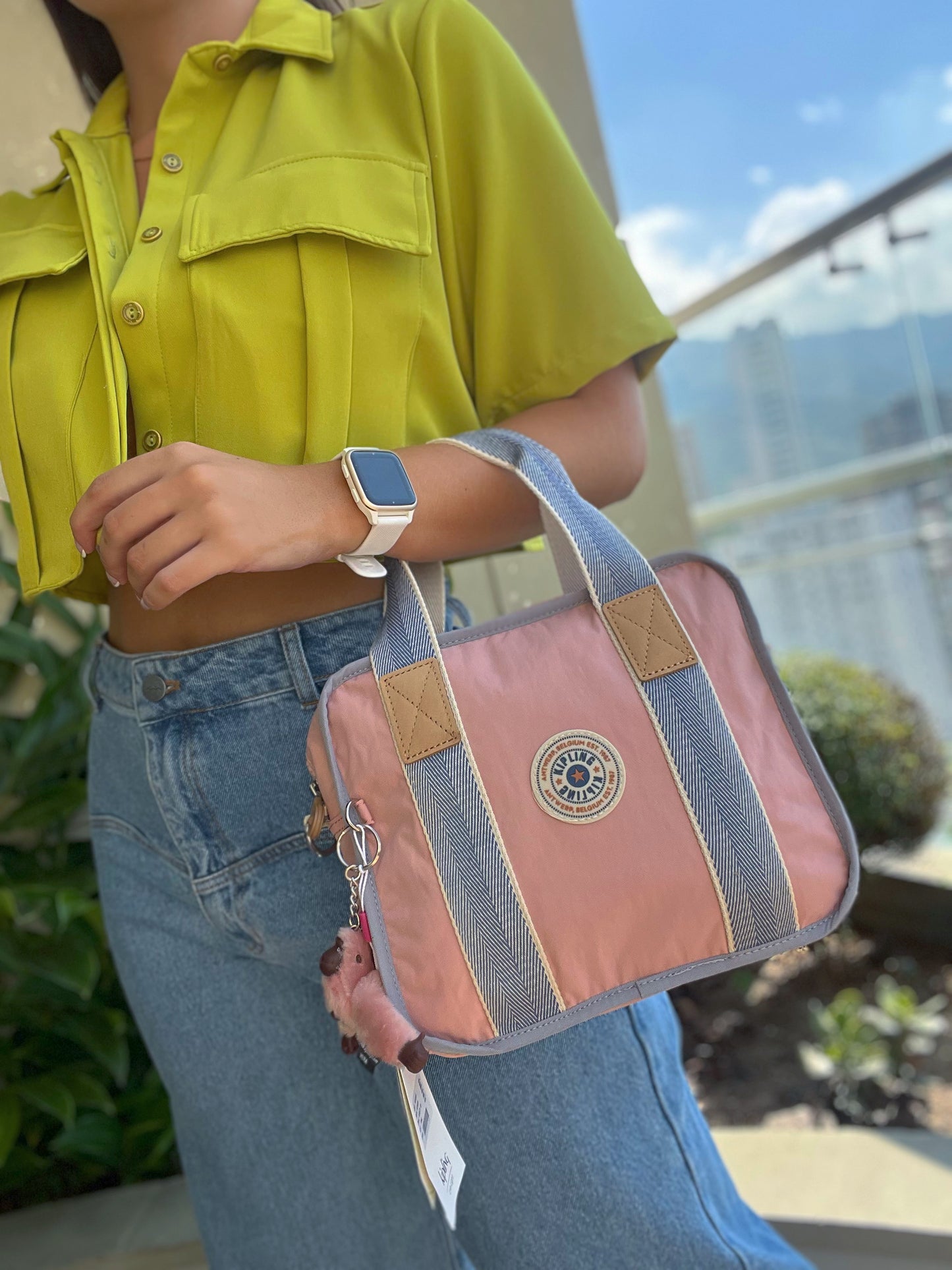 Bolso De Mano Rosado Retro