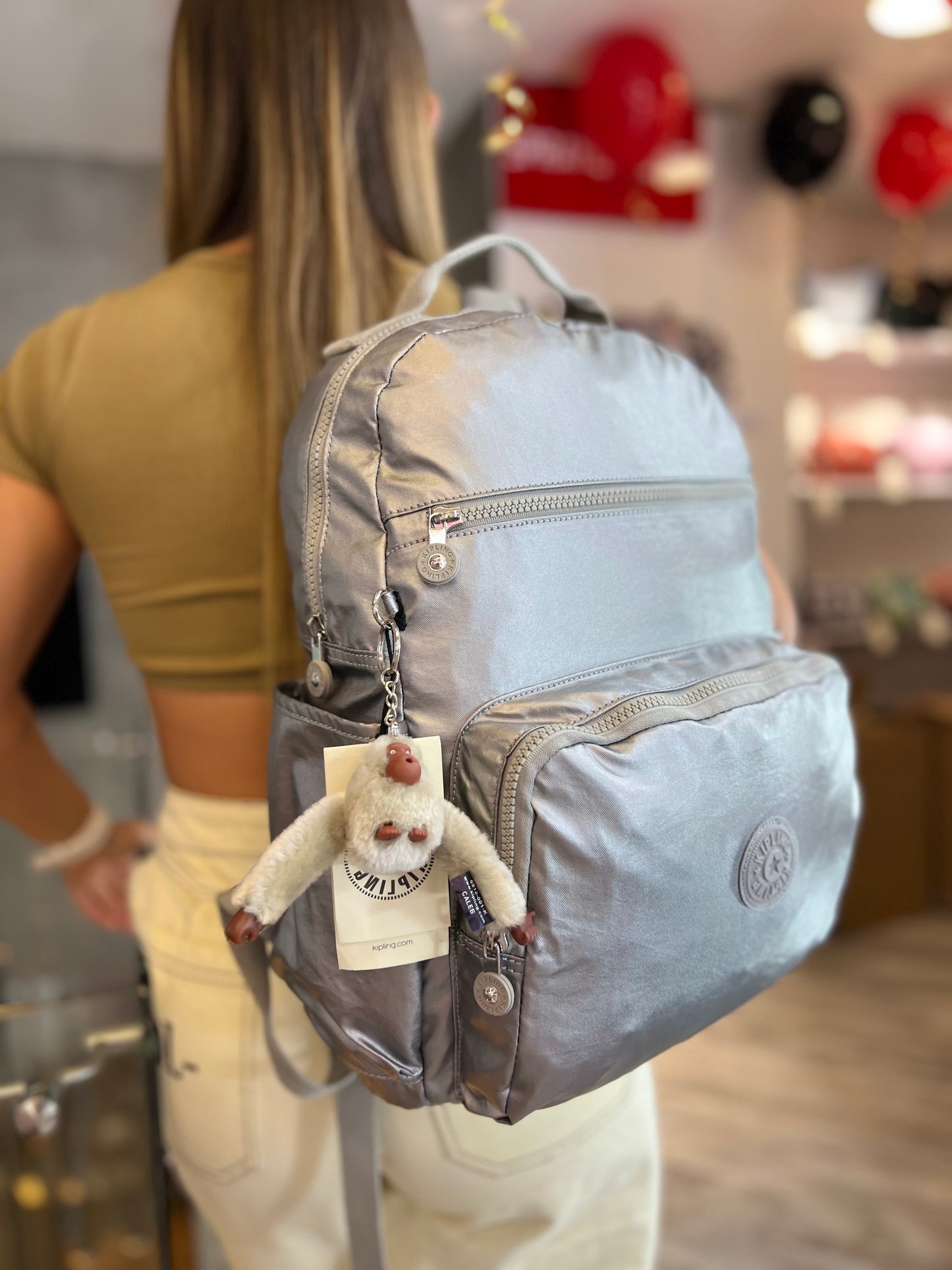 Pañalera Morral Plateado