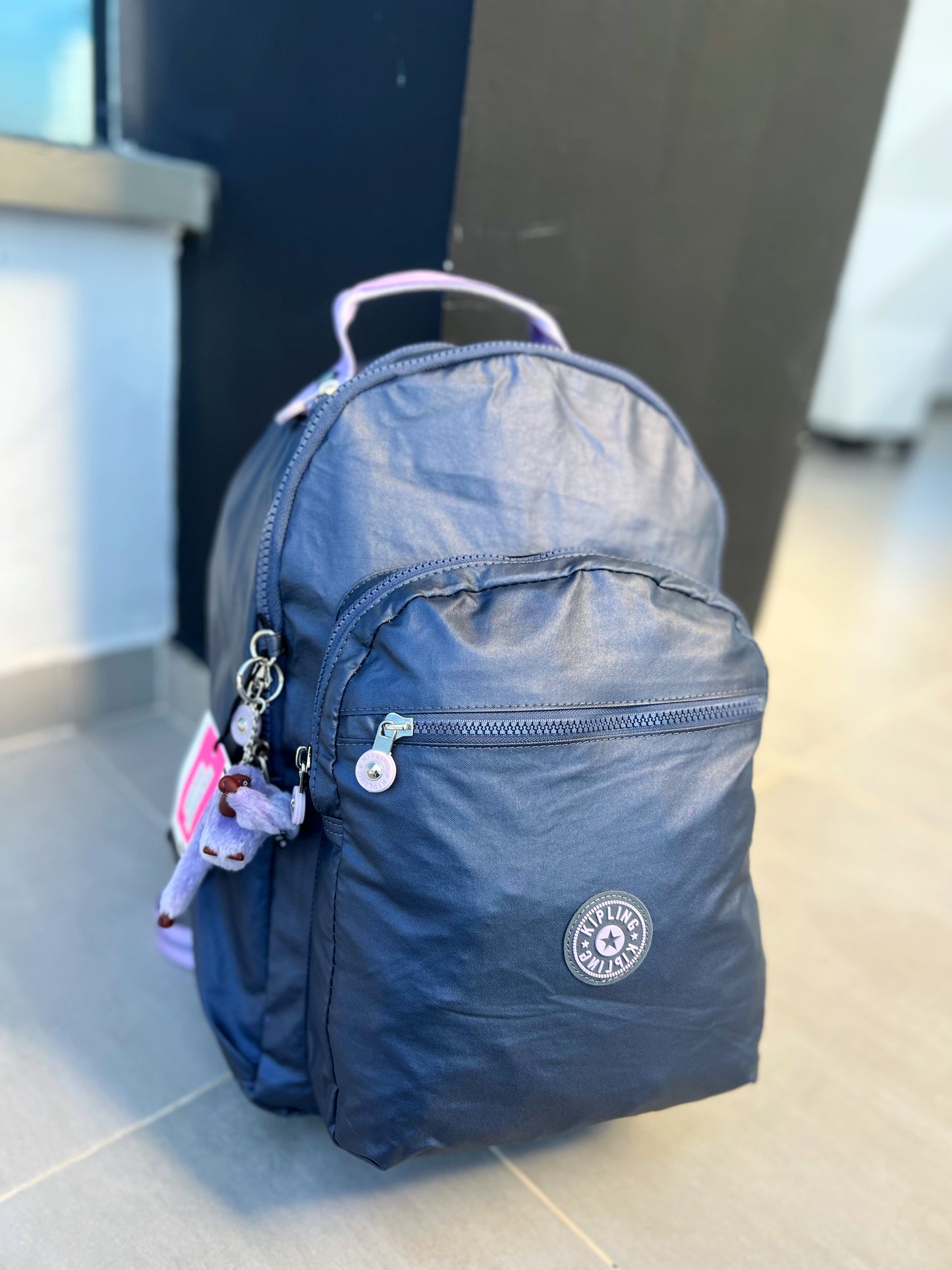 Morral Talla L Morado Metalizado